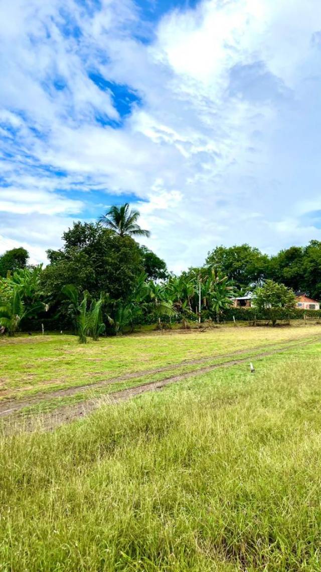 Hermosos Lotes A La Venta En Carmen De Apicala