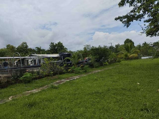 Lote con Casa a 200 metros de la via Carepa a Chigorodo